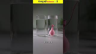 Science Experiment videos magic shotfeed scince [upl. by Buxton161]