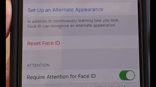 iPhone 11 Pro How to Reset Face ID [upl. by Amik]