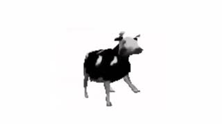 Polish cow song  free download ￼ [upl. by Troyes148]