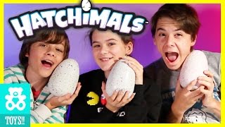 NEW HATCHIMALS MAGICAL SURPRISE EGG OPENING CHALLENGE Kids Toy Review  KITTIESMAMA [upl. by Erskine57]