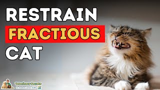 How To Restrain a Fractious Cat and Trim Cat Nails [upl. by Nawiat]