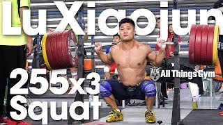 Lu Xiaojun 🇨🇳 255kg  562lbs x3 Squat Session 2018 World Championships Training Hall 4k [upl. by Walcott156]