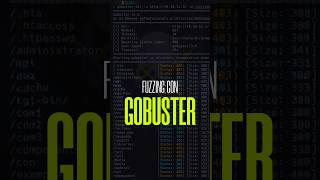 Gobuster 👾 ciberseguridad hacker hackingetico cyberseguridad gobuster hacking [upl. by Hcahsem]