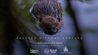 Beavers Without Borders a short documentary [upl. by Daberath]