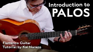 Introduction to Palos  Flamenco Guitar Tutorial by Kai Narezo [upl. by Onirefes]