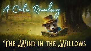 🦝 A Calm Reading of quotThe Wind in the Willowsquot  Full Audiobook for Sleep 😴 [upl. by Caraviello]