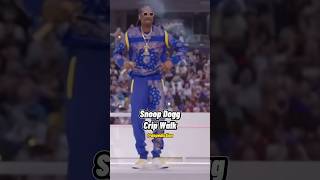 Snoop Dogg Crip Walk [upl. by Nauwaj]