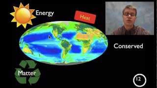 LS1C  Matter and Energy Flow in Organisms [upl. by Annoed806]