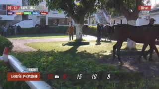 Live Hippodrome « CASABLANCA»  Courses du « 18102024 » [upl. by Atcele]