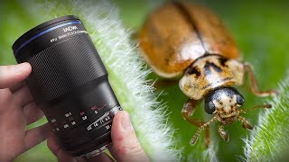 Laowa 90mm Lens Review – the new King of Macro Photography [upl. by Ihtak]