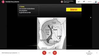 Anatomie oculaire  Sémiologie ophtalmologique [upl. by Udenihc]