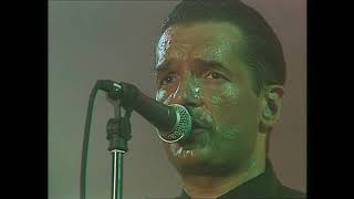 Falco  Vienna Calling 10 Donauinselfest 1993 [upl. by Aleira]