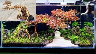 Its easy  Steps to make a Bonsai Tree for Aquarium shorts aquarium [upl. by Ramedlab706]