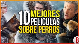 TOP 10 MEJORES PELÍCULAS DE PERROS  Películas Que Te Harán Llorar [upl. by Eloise]