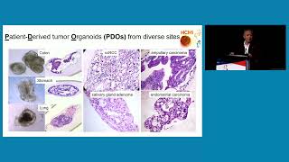 Materials and Methods Basic Science to Breast Oncology Workshop [upl. by Eeresed]