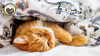 Calming Music for Nervous Cats  Stress Relief Deep Sleep Relaxation Music [upl. by Aaronson]