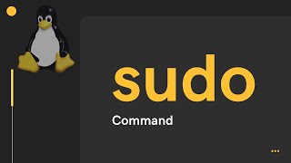 Linux sudo Command  Hindi [upl. by Mur]