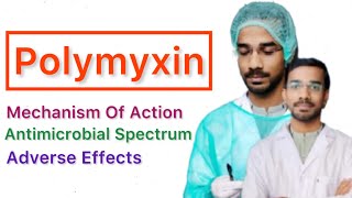 Polymyxin  Mechanism Of Action  Antimicrobial Spectrum  Adverse Effects [upl. by Merlin]