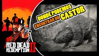 Como cazar CASTOR  LOCALIZACIÓN EN RED DEAD REDEMPTION 2  RDR2 [upl. by Body]