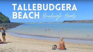 Tallebudgera Beach  Burleigh Heads National Park  Gold Coast  Queensland Australia [upl. by Esadnac55]