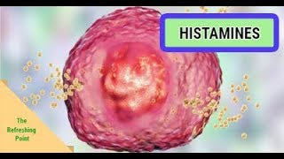 Histamine  Benefits amp Negative Effects  Foods High in Histamine amp Low Histamine Diet [upl. by Aidualc]