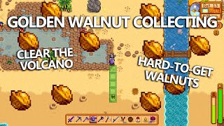 Volcano Dungeon and Golden Walnut Collection  Stardew Valley 15 [upl. by Rona]