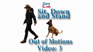 Sit Down and STAND Video3 Online tips for improving your IPO Schutzhund out of motion exercises [upl. by Anoed]