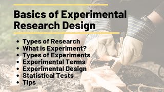 Basics of Experimental Research Design [upl. by Lyndon]