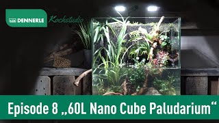 Paludarium im 60L Nano Cube  Kochstudio Episode 8  DENNERLE [upl. by Therine416]