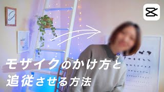 モザイクのかけ方と動くものに追従させる方法  CapCut スマホ動画編集 [upl. by Idaline]