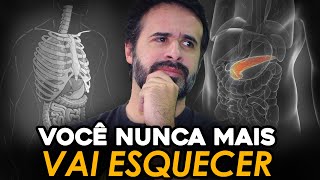 VASCULARIZAÇÃO DO PÂNCREAS VOCÊ NUNCA MAIS VAI ESQUECER [upl. by Annayar]