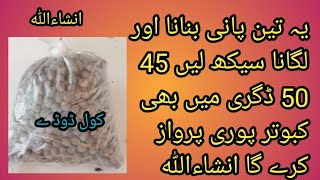 کبوتر ٹھنڈ ہ گرم کرنے کا طریقہ KABOTAR THANDA GARM KARNE KA TAREEQA KABOOTARPARWARVLOG [upl. by Moria]