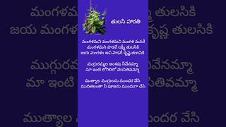 తులసీ హారతిThulasi SongShorts [upl. by Lyris951]