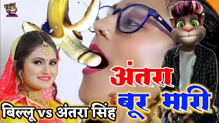 Wait for end billi ka video😂😅 funny comedy video memes shorts [upl. by Clarinda893]