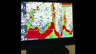 Heres how Humminbird Helix 7 DI And 2D Sonar Settings [upl. by Farmelo]