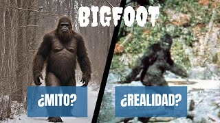 quotBigfoot ¿Leyenda o Realidad El Misterio del Monstruo de los Bosquesquot [upl. by Irb198]