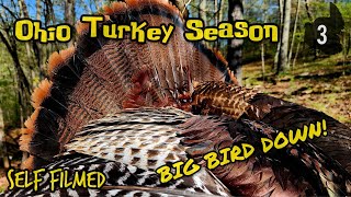 Ohio SPRING GOBBLER Down on Opening Weekend Self Filmed Turkey Hunting [upl. by Rimidalg]