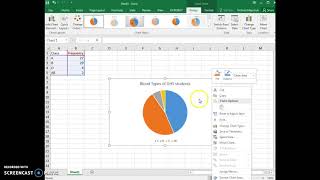 Add data labels to pie chart and delete legend [upl. by Emlynne]