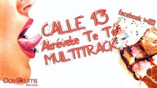 Calle 13  Atrévete Te Te MULTITRACK [upl. by Chic]