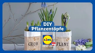 Pflanztöpfe aus Karton selber machen  DIY Blumentopf aus Karton [upl. by Einahpehs]