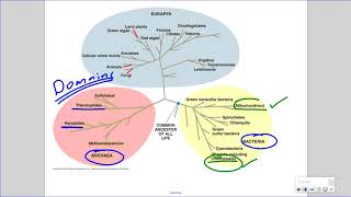 Mr Walkers Biology 20 Classification and Taxonomy [upl. by Samalla]