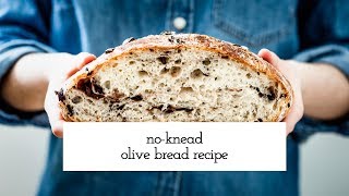 Crusty and Rustic No Knead Olive Bread Recipe [upl. by Acirred775]