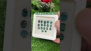 💎 Lustrous GRANDIDIERITE Lot ✨ A Collection of Rare Gems for True Connoisseurs gemstones shorts [upl. by Nawak637]