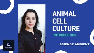 Animal Cell Culture  Introduction [upl. by Ellekcir]