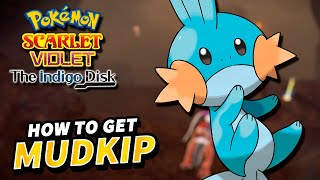 Pokemon Scarlet amp Violet How to get MUDKIP  The Indigo Disk DLC [upl. by Noiramaj]