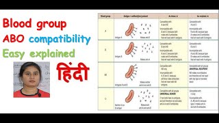 Blood group ABO system in hindi  ABO incompatibility  transfusion reaction  ABO compatibility [upl. by Crockett]