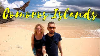 The Comoros Islands wildlife adventures in Moheli and Moroni [upl. by Reo]