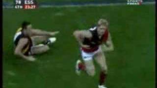 Essendon Vs Richmond 2007 [upl. by Aztiram]