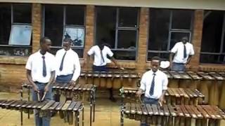 Zimbabwe marimba [upl. by Noynek]