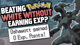 HOW EASILY CAN YOU BEAT POKEMON WHITE WITHOUT EXP [upl. by Atnoek]